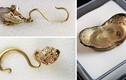 Lóa mắt báu vật vàng ròng mới khai quật ở Trung Quốc